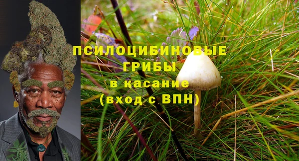 соль курить ск Ельня