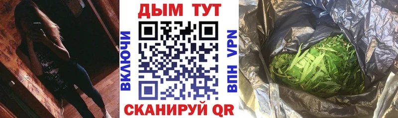 Каннабис план  купить наркоту  Чаплыгин 